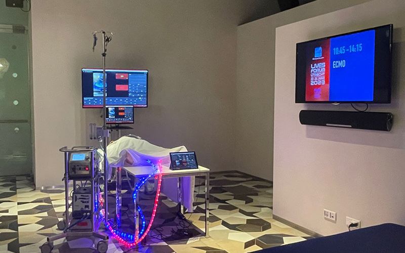 Hybrids VITA Hybrids VITA